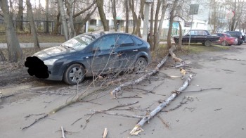 Шквалистый ветер повалил деревья и повредил машины в Нижегородской области