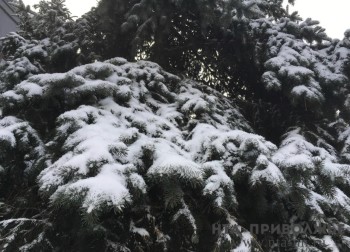 Народные приметы: 12 января