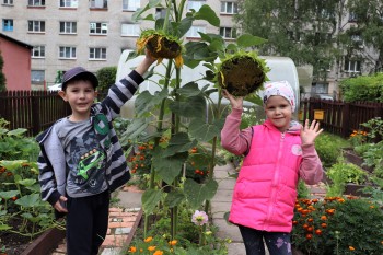 Тыкву весом 33 кг вырастили воспитанники детсада № 223 Нижнего Новгорода