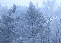 Народные приметы: 17 февраля
