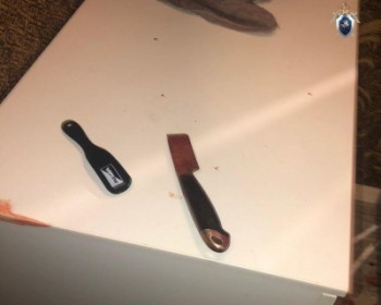 Молодой мужчина сломал нож при попытке зарезать хозяина квартиры в Канавинском районе
