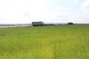 Шламонакопитель &quot;Белое море&quot; в Нижегородской области уже на 40% покрыт зеленой травой