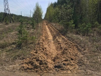 Профилактическую вырубку проведут в Сормове