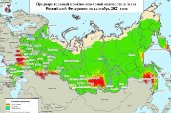 Составлен прогноз вероятности лесных пожаров в ПФО на сентябрь