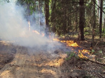 Природный пожар тушат под Оренбургом