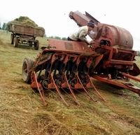 Нижегородское правительство в 2013 году намерено направить на сельское хозяйство почти 4 млрд. рублей