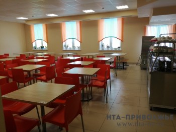 Нижегородских детей из многодетных семей бесплатно обеспечат питанием в школах