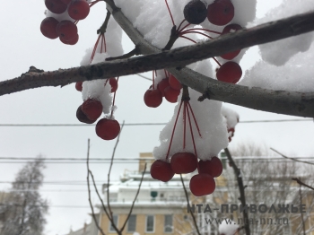 Умеренно морозная и облачная погода ожидается в Нижегородской области в выходные дни