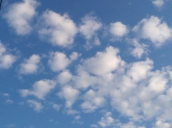 6 БПЛА сбили над Самарской областью