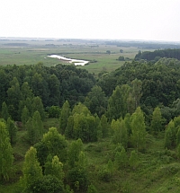 Погода в Нижегородской области в ближайшие дни существенно не изменится
