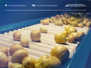 Инвестпроект по переработке картофеля разработан в регионе
