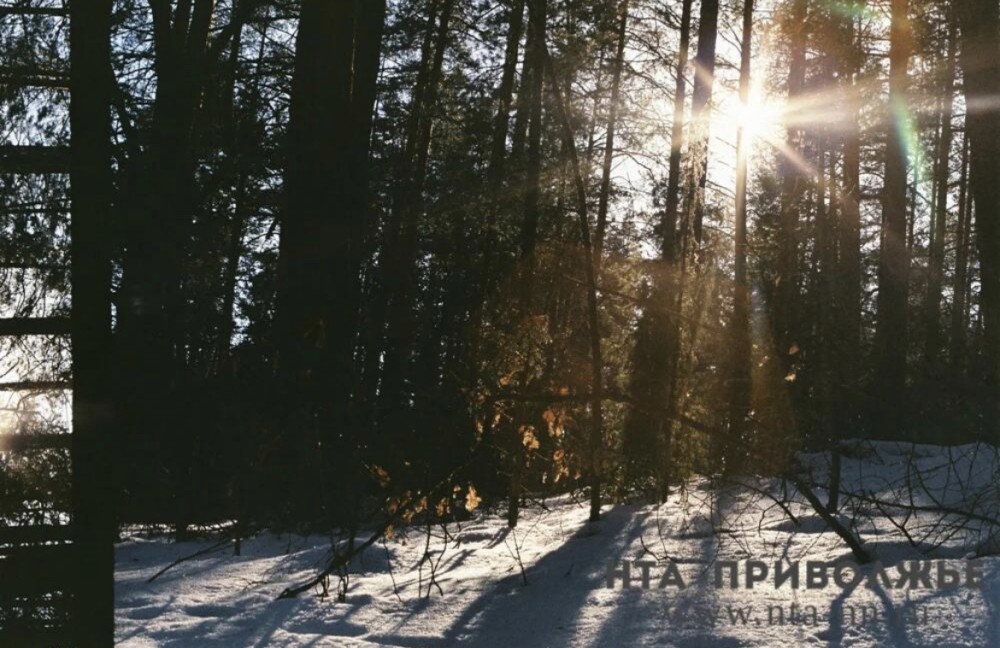 Народные приметы: 4 марта