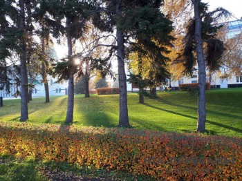 Плюсовые температуры продержатся в Нижегородской области до конца рабочей недели