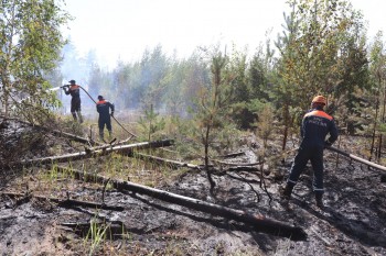 Глеб Никитин объявил о локализации лесного пожара в Воротынском районе (ВИДЕО)