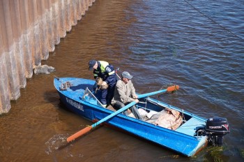 Удмуртские спасатели вытащили из Камы выброшенного кота