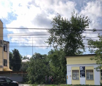 Электричество было отключено в 170 домах Нижнего Новгорода из-за упавших на провода деревьев