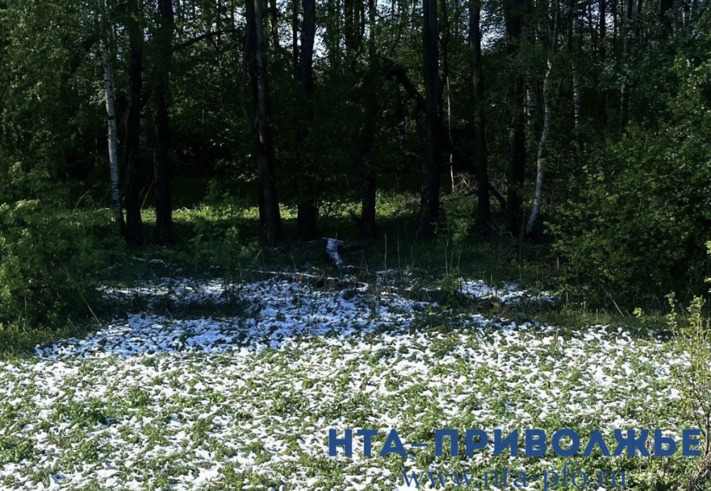 Народные приметы: 26 ноября