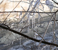 Потепление до 0 градусов, осадки в виде дождя и снега ожидаются в Нижегородской области в ближайшие дни

