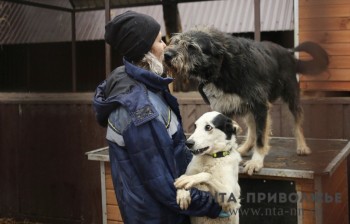 Дефицита вакцины против бешенства в ветклиниках Нижнего Новгорода нет
