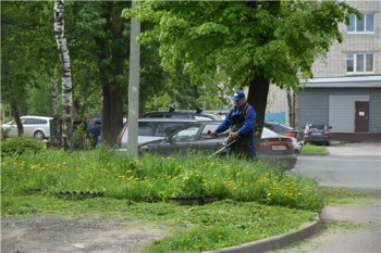 Покос травы начали в Чебоксарах