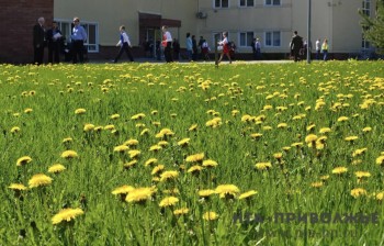 День запуска бумажных змеев: 2 июня