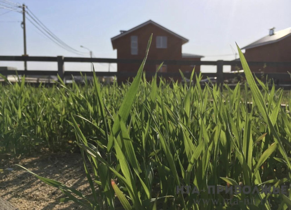 Герои России смогут бесплатно получить землю в Саратовской области