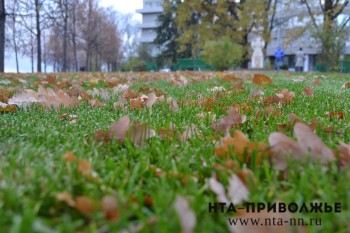 Октябрь чуть теплее обычного прогнозируется в Нижегородской области