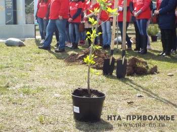 Юрий Шалабаев пригласил нижегородцев на общегородской субботник в субботу 24 апреля