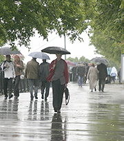 В Нижегородской области в ближайшие дни ожидаются дожди, местами сильные, в отдельных районах грозы