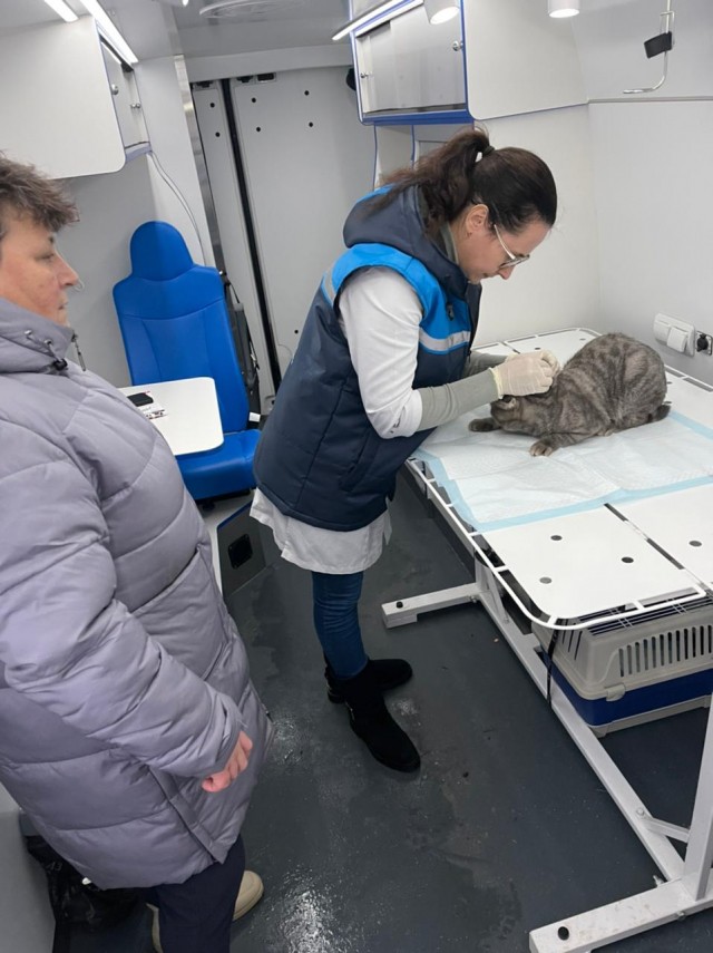 Ветеринарный "поезд здоровья" для животных начал работать в Нижегородской области