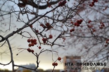 Облачная и дождливая погода ожидается в Нижегородской области в ближайшие дни