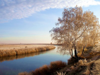 В Нижегородской области в ближайшие дни ожидается похолодание

