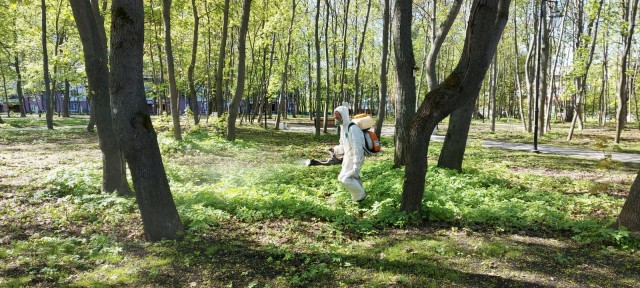Акарицидная обработка общественных пространств прошла в Нижегородском районе Нижнего Новгорода