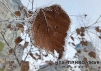 Народные приметы: 8 октября Народные приметы: 8 октября