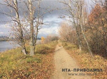 Движение транспорта могут разрешить в урочище Слуда в Нижнем Новгороде