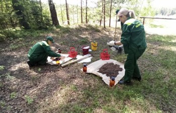 Семеновское МБУ "Благоустройство города" обязали возместить ₽4,1 млн ущерба