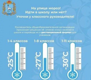 Решение об отмене занятий в школах Самарской области может быть принято из-за морозов