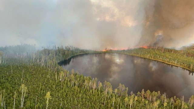 Площадь лесного пожара в Воротынском районе составляет уже 5200 га