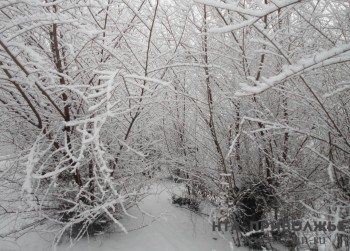 Народные приметы: 12 декабря