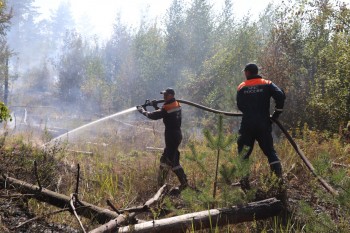 Площадь лесного пожара в Воротынском районе Нижегородской области сократилась до 90 га