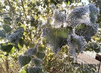 Народные приметы: 27 ноября 