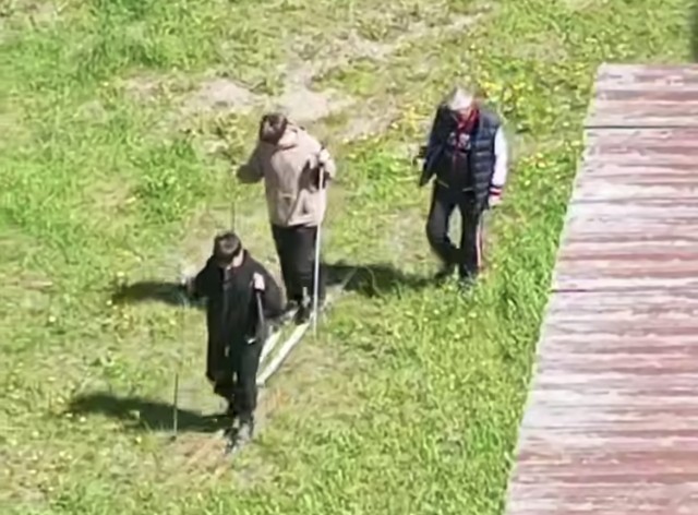 Пермские студенты отработали прогулянный зимой лыжный зачет на траве