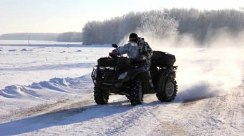 Несовершеннолетняя нижегородка врезалась на квадроцикле в дерево