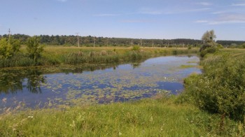 Работы по расчистке русел рек Тёша, Сатис и Вичкинза стартовали в Нижегородской области