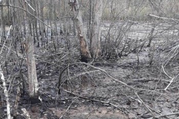 Виновных в разливе мазута ищут в Кстовской промзоне
