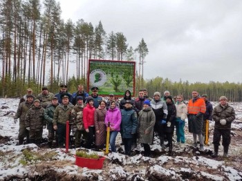 Работники ГЖД высадили 6 тыс. саженцев деревьев в рамках международной акции "Сад памяти"