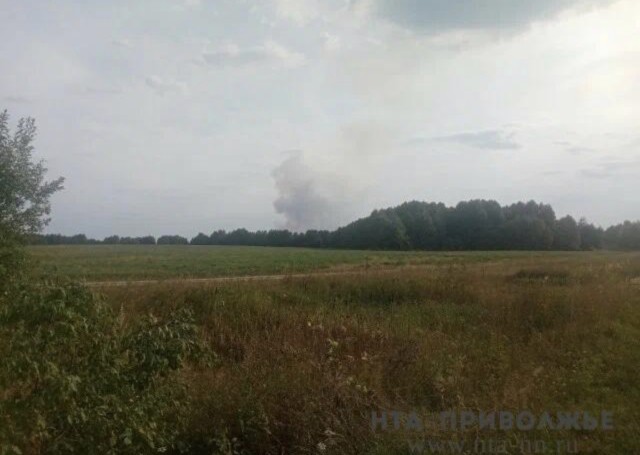Пензенская область закупит беспилотники для контроля лесов Пензенская область закупит беспилотники для контроля лесов