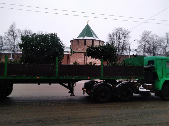 Главную новогоднюю ель начали устанавливать в Нижнем Новгороде