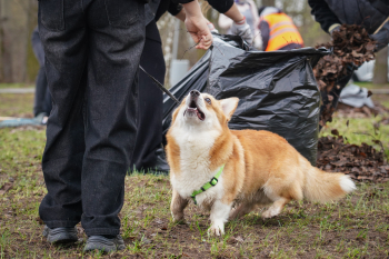 Более 32 тыс. нижегородцев приняли участие в общегородском субботнике