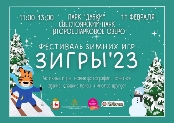 Фестиваль спорта "ЗИГРЫ’23" пройдёт в парках Нижнего Новгорода